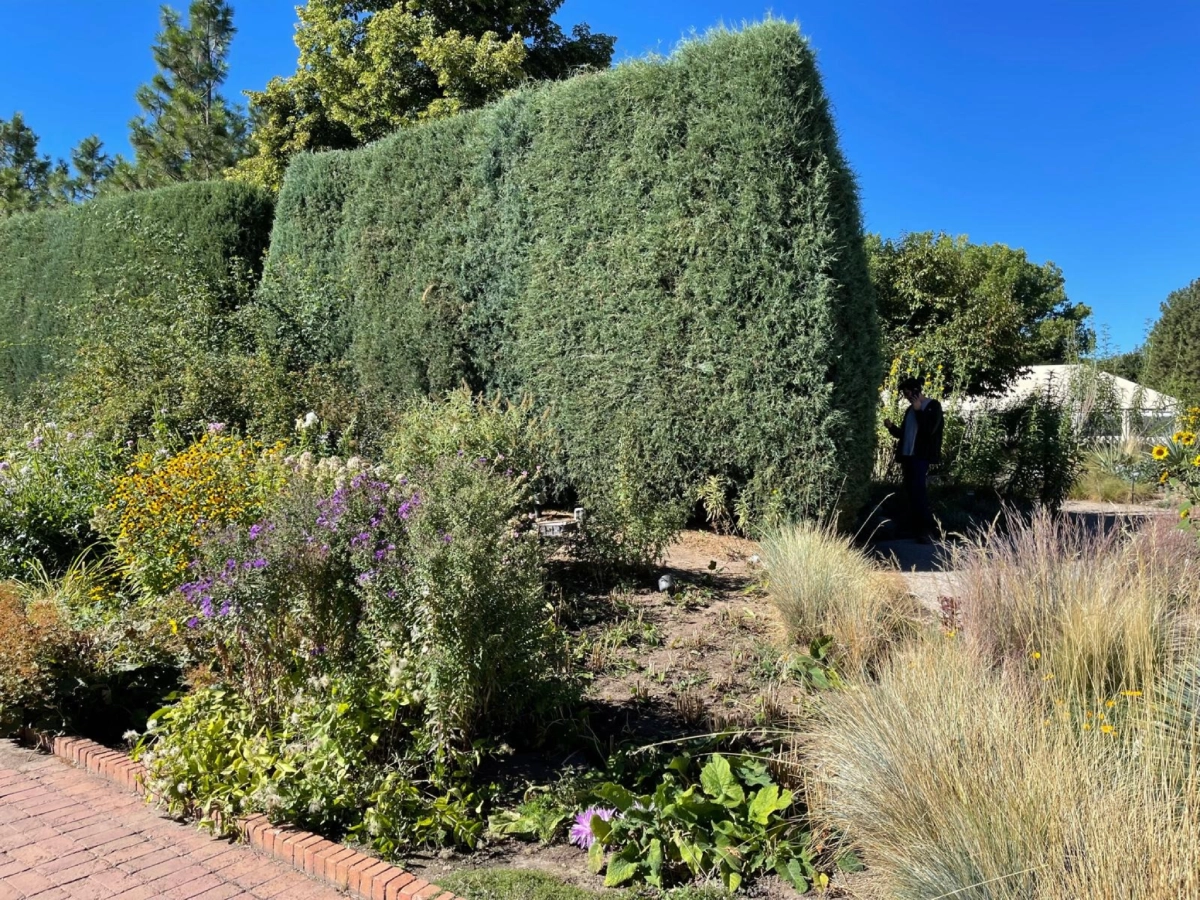 Landscape Design (1)