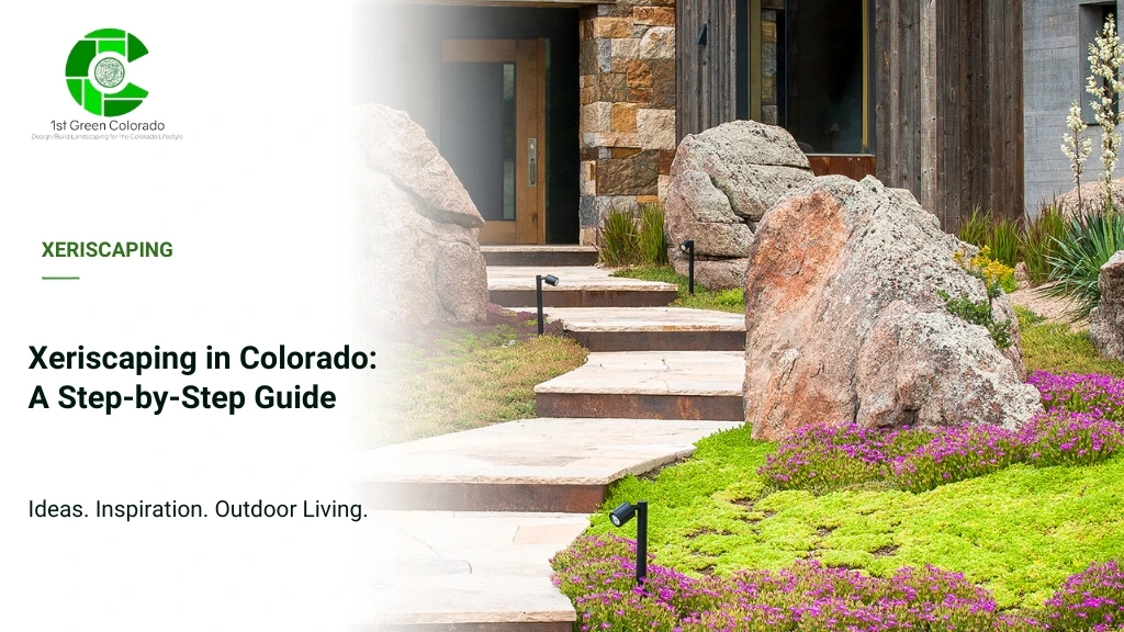 Xeriscape in colorado A Step-by-step Guide